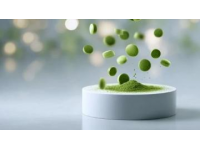 柳州融安特色美食濾粉，你吃過嗎？