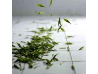 每天一杯普洱茶，身體會(huì)收獲哪些驚喜？