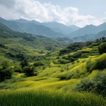 小滿(mǎn)時(shí)節(jié)養(yǎng)生攻略：夏熟作物成熟之際