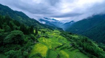小滿(mǎn)時(shí)節(jié)養(yǎng)生攻略：夏熟作物成熟之際
