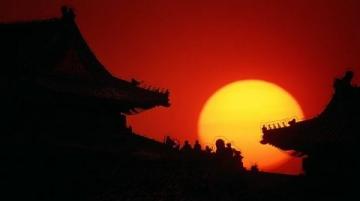 你可能沒注意到，但故宮的屋頂上為什么幾乎沒有鳥屎?