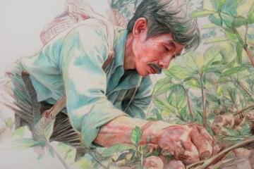 挑選茵陳、摘柳芽、挖薤白的溫馨日常體驗最純粹的鄉(xiāng)村生活