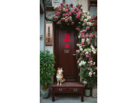 天潤鋁包木門窗保養(yǎng)小常識:密封膠條的正確使用與維護