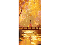 清水塘：回憶中的樂園，四季流轉的童真記憶