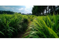 前幾天，我們進行了一場說走就走的旅行---內(nèi)蒙古4日行