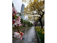 杭州很無敵的10家！！純自費無廣
