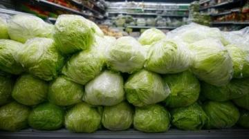 神秘鹵菜店的背后真相：方師傅的驚人秘密曝光了！