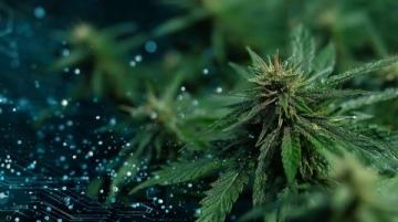 全人培養(yǎng)視閾下常識(shí)教育的功能定位與實(shí)現(xiàn)路徑探析