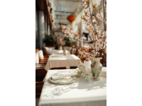 探店春風(fēng)十里不如你覓一口春意解鎖京城新晉賞花泡茶好去處