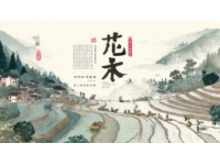 漫步廣西，品味壯鄉(xiāng)米粉盛宴