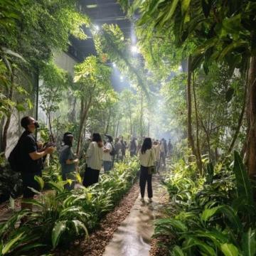 廣州增城驚現(xiàn)現(xiàn)實(shí)版「莫奈花園」！春日浪漫打卡地被我找到了