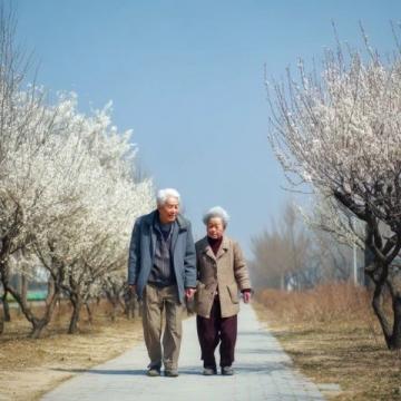 深圳定居適宜老年人嗎？宜居分析及優(yōu)待政策解讀