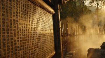廣西崇左：山鄉(xiāng)艾草香悠悠