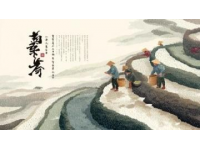 人教版二年級數(shù)學(xué)下冊核心知識點詳解，資深教師推薦收藏
