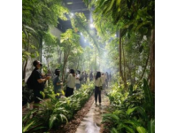 廣州增城驚現(xiàn)現(xiàn)實(shí)版「莫奈花園」！春日浪漫打卡地被我找到了