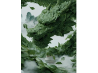 揭秘鐵觀音：中國(guó)茶王傳奇與養(yǎng)生秘籍