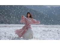 賽里木湖：藍(lán)冰奇觀中的天鵝舞韻，四季美景如畫之旅