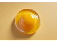 解鎖雞蛋新吃法簡(jiǎn)單易學(xué)一看就會(huì)的做法