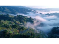 商洛位于陜西省東南部，地處秦嶺腹地，飲食文化融合了陜南農(nóng)家風(fēng)味與南北特色