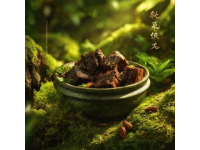 跨越山海的家鄉(xiāng)味：潮汕美食俘獲全球華人心