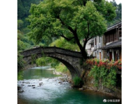 柳州熱門旅游住宿指南：精選酒店推薦