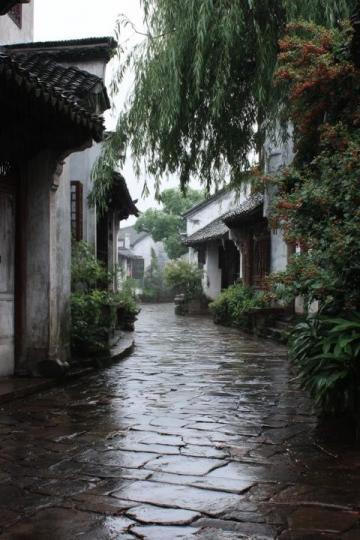 以下是一些上海的旅游路線推薦