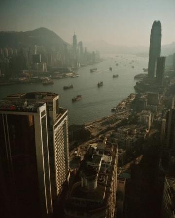 香港鼠患嚴(yán)峻：每捉一只老鼠成本約10880元，引發(fā)熱議