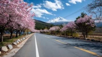 貴定金海雪山花開如畫。