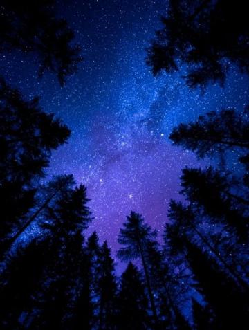 暗香滿天，夜色更深