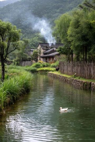 江西鄱陽(yáng)湖畔春日美味：藜蒿炒臘肉的文化傳承與創(chuàng)新發(fā)展