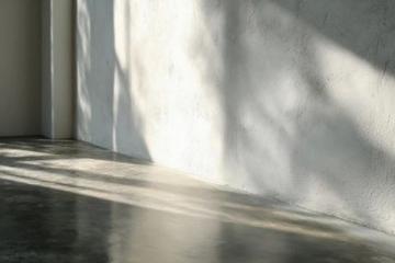 在家如何給兔子洗澡？冷水澡這樣做，兔兔舒服不抗拒！