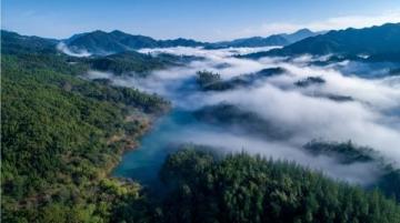 遇見撫仙湖的藍：澄江旅游攻略