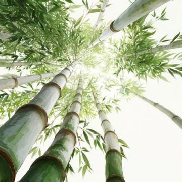 春筍鮮嫩上市，春日味蕾盛宴，探尋健康活力之源
