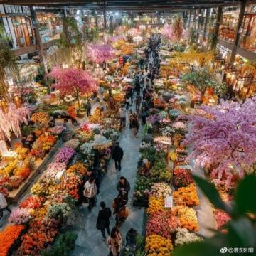 亞明農(nóng)貿(mào)市場:沈陽皇姑區(qū)的繁華記憶與市井生活風情