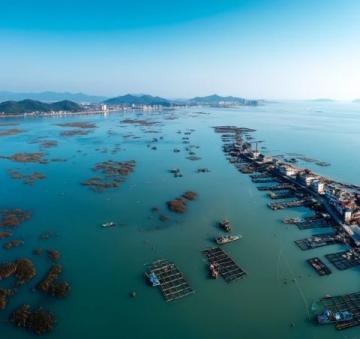 三亞之旅:十天內(nèi)發(fā)現(xiàn)景區(qū)冷清與變化