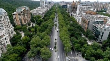 三天佛山行：上海人的驚喜發(fā)現(xiàn)，徹底改觀對廣東的印象