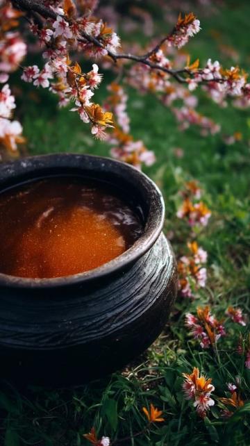 夏日清爽家常絲瓜肉絲湯：滋養(yǎng)身心好選擇