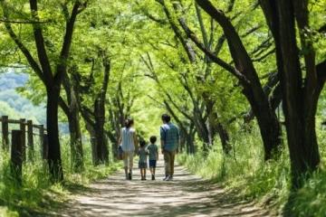 500元環(huán)游東日本！JR東日本平日旅行優(yōu)惠票限時(shí)發(fā)售