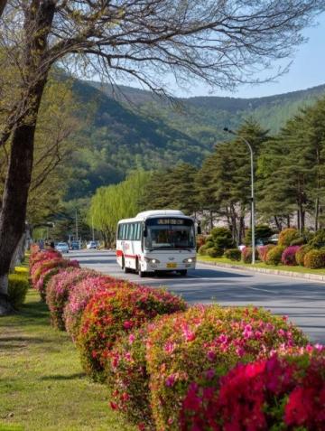 500元環(huán)游東日本！JR東日本平日旅行優(yōu)惠票限時(shí)發(fā)售