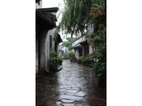 以下是一些上海的旅游路線推薦