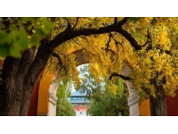 昌吉市最好玩的地方有哪些？不容錯(cuò)過的旅游景點(diǎn)推薦！