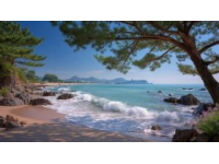 榮成海邊拍照爭議：禁令引發(fā)熱議，平衡旅游管理與公眾權(quán)利成焦點(diǎn)