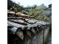 北京石雨棚、東城區(qū)雨棚、西城區(qū)雨棚、朝陽(yáng)區(qū)雨棚、豐臺(tái)區(qū)雨棚、石景山區(qū)雨棚、海淀
