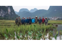 云南元陽梯田深度游攻略