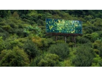 浙西南山區(qū)的詩(shī)意棲居地——松陽(yáng)