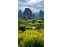 陽朔：山水間的詩意畫卷