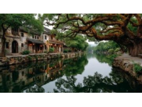 寧波周末暢游指南：探尋精彩景點與活動