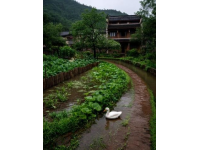 不容錯(cuò)過的成都周邊熱門景區(qū)推薦，山水人文之旅從這里開始！