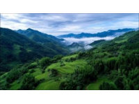 探索潛江之美：湖北之旅指南