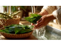 日常五防?。菏植壳鍧崱⑹称钒踩?、室內(nèi)通風(fēng)、口罩使用與個人用品衛(wèi)生